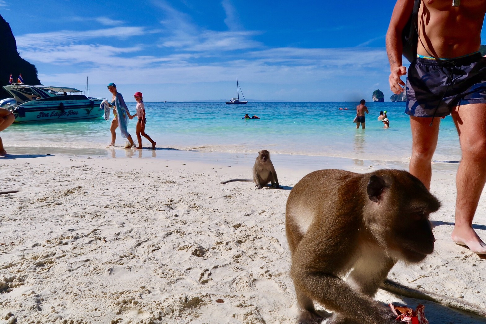 Monkey beach - Boat Lagoon Yachting | Asia's premier provider of a ...